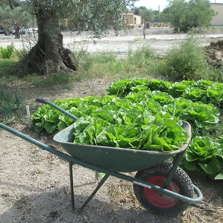 Donna Beatrice مزرعة للإقامة بيانكو