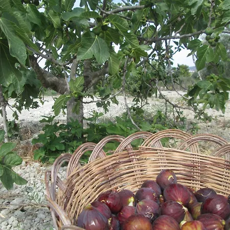 Agroturismo Donna Beatrice *