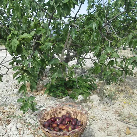 Donna Beatrice مزرعة للإقامة بيانكو