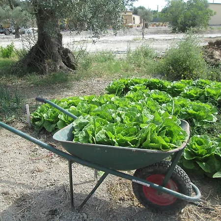 Farm stay Donna Beatrice *