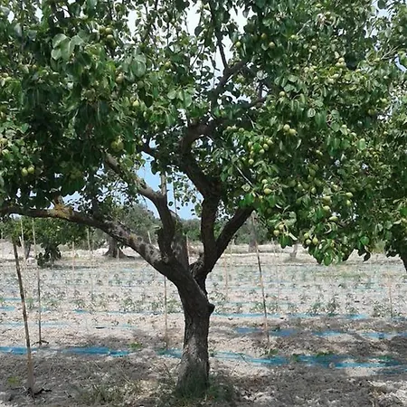 Agroturismo Donna Beatrice Bianco