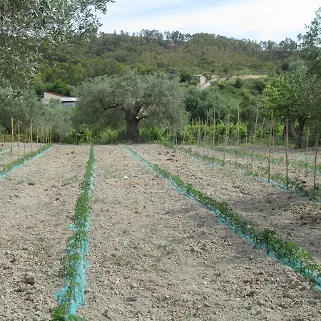 Farm stay Donna Beatrice Bianco