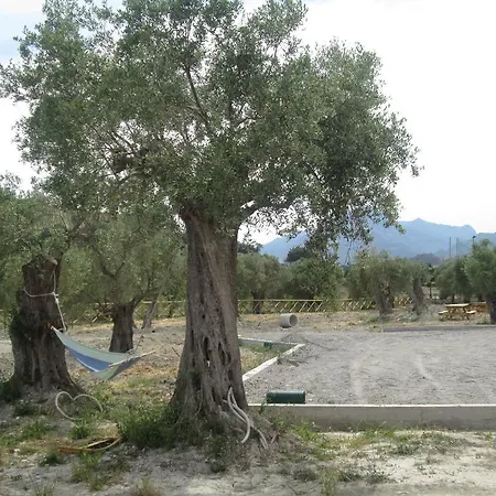 Donna Beatrice * Bianco