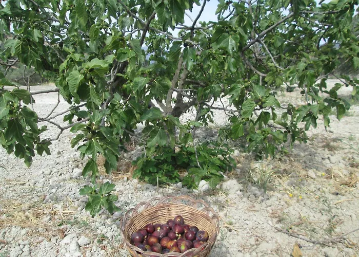 Donna Beatrice Alojamento de Turismo Rural Bianco