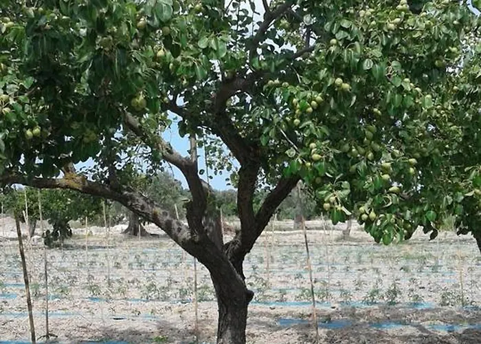 Alojamento de Turismo Rural Donna Beatrice Bianco