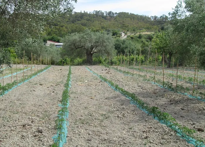 Alojamento de Turismo Rural Donna Beatrice Bianco