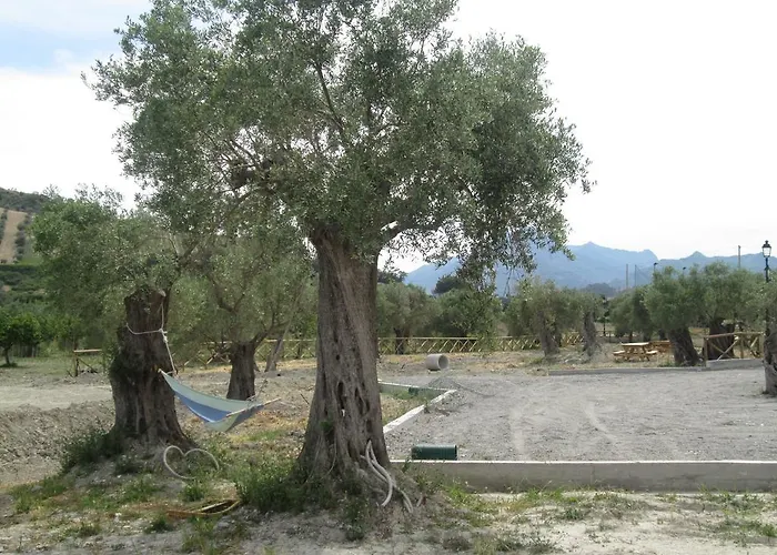 Donna Beatrice * Bianco